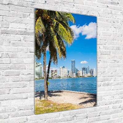 Imagine de sticlă Miami