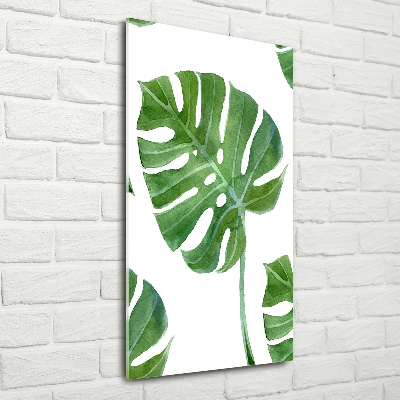 Tablou din Sticlă Monstera