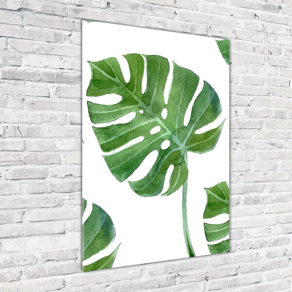 Tablou din Sticlă Monstera