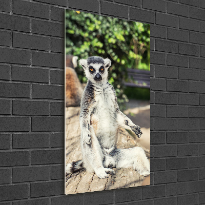 Fotografie imprimată pe sticlă Lemur