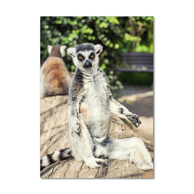 Fotografie imprimată pe sticlă Lemur