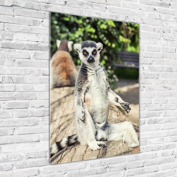 Fotografie imprimată pe sticlă Lemur