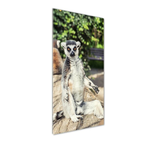 Fotografie imprimată pe sticlă Lemur