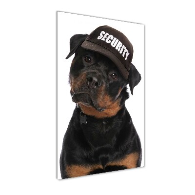 Fotografie imprimată pe sticlă Rottweiler într-un capac