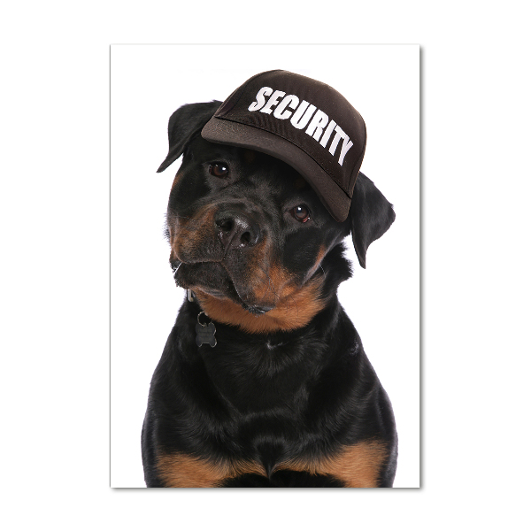 Fotografie imprimată pe sticlă Rottweiler într-un capac