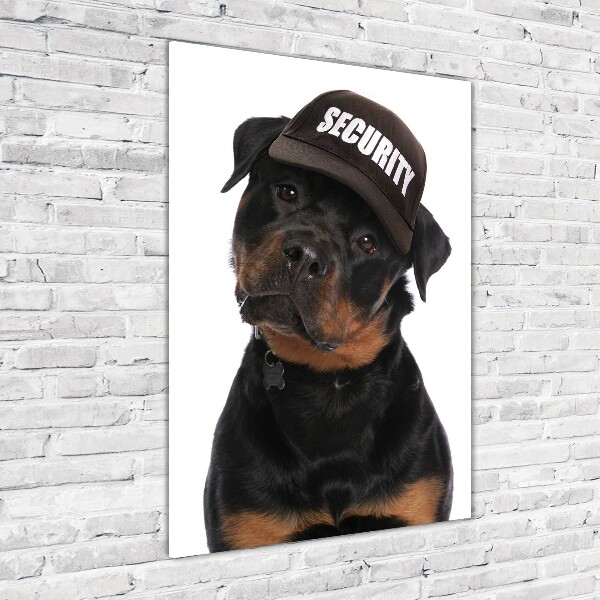 Fotografie imprimată pe sticlă Rottweiler într-un capac