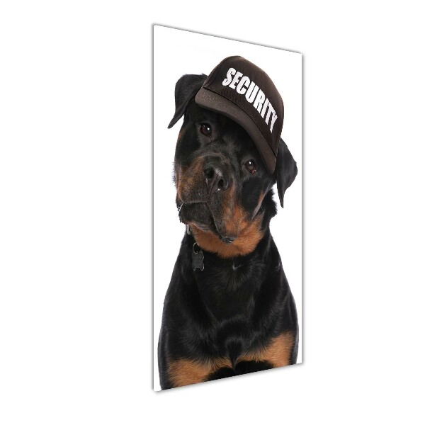 Fotografie imprimată pe sticlă Rottweiler într-un capac