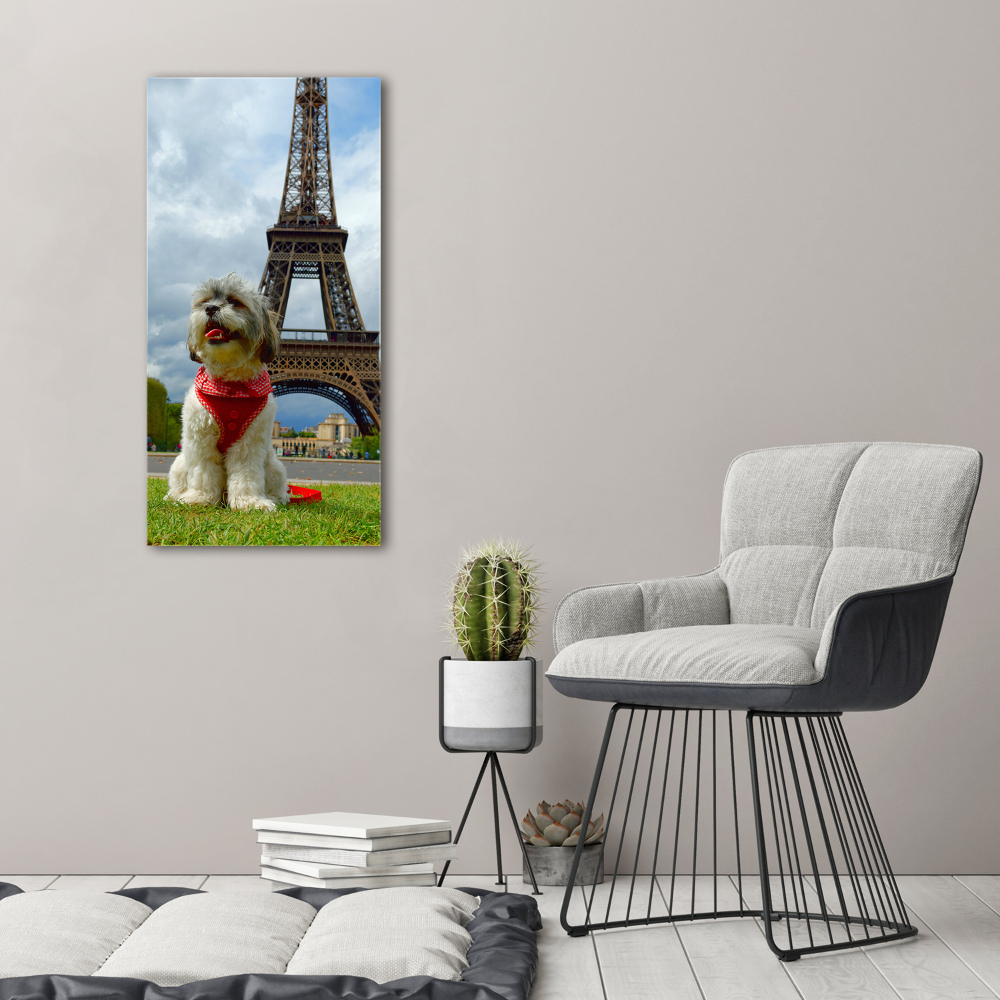 Fotografie imprimată pe sticlă Câine din Paris