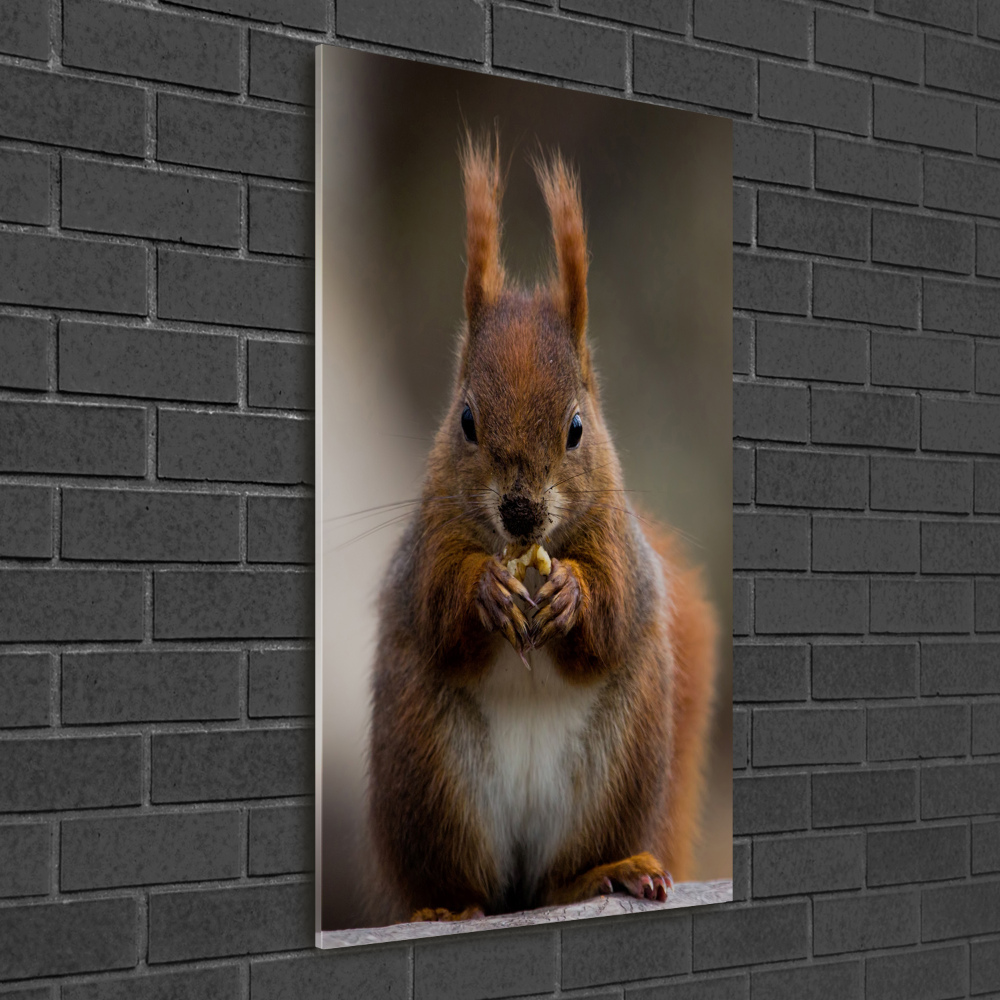 Imagine de sticlă veveriţă
