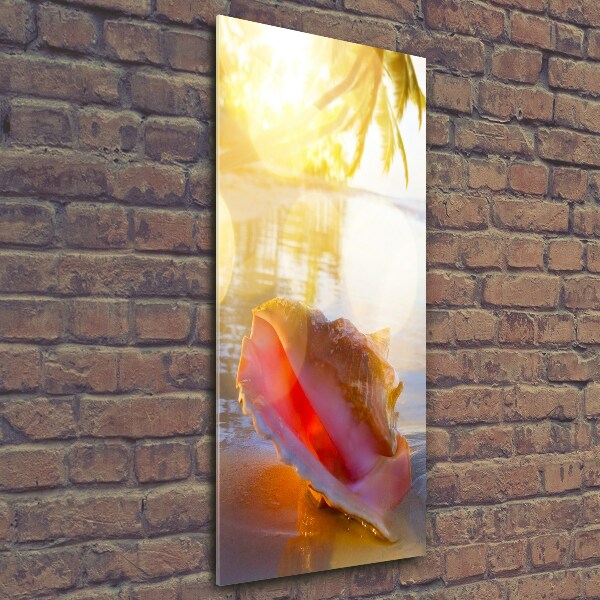 Tablou pe pe sticlă Seashell pe plaja