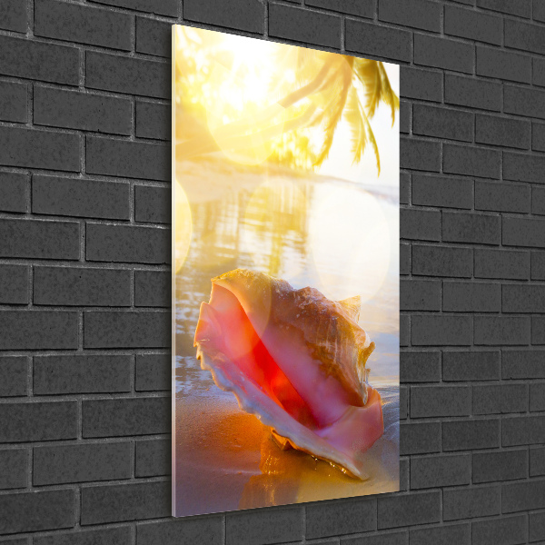 Tablou pe pe sticlă Seashell pe plaja