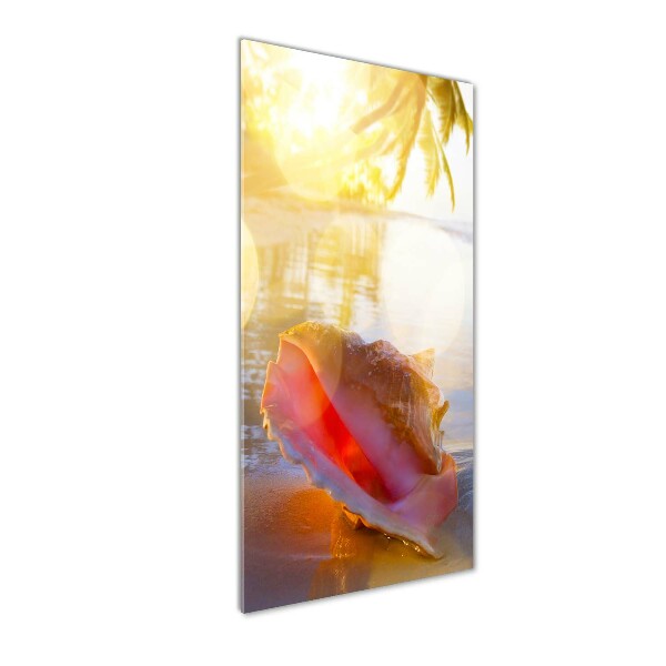 Tablou pe pe sticlă Seashell pe plaja