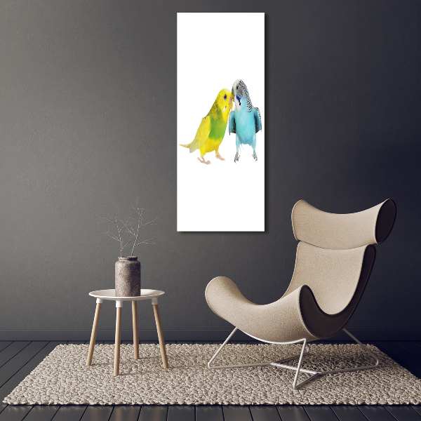 Fotografie imprimată pe sticlă budgies