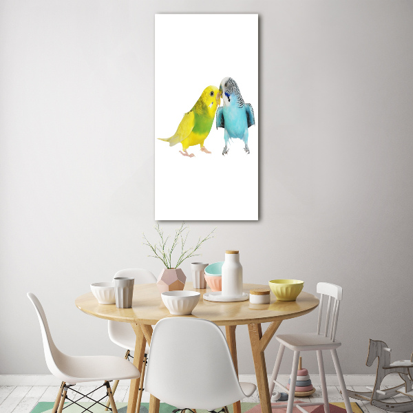 Fotografie imprimată pe sticlă budgies