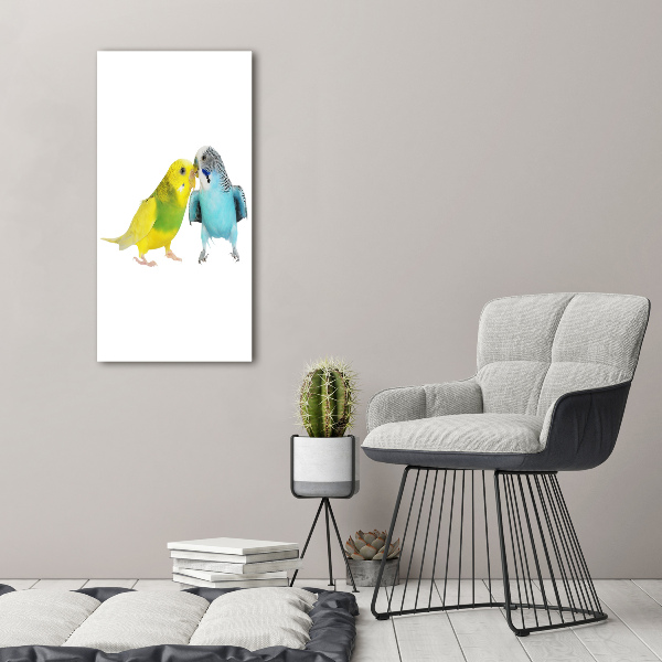 Fotografie imprimată pe sticlă budgies