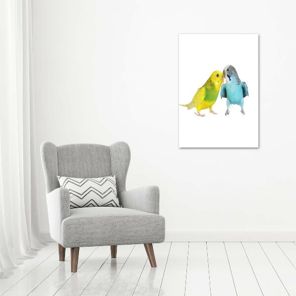 Fotografie imprimată pe sticlă budgies