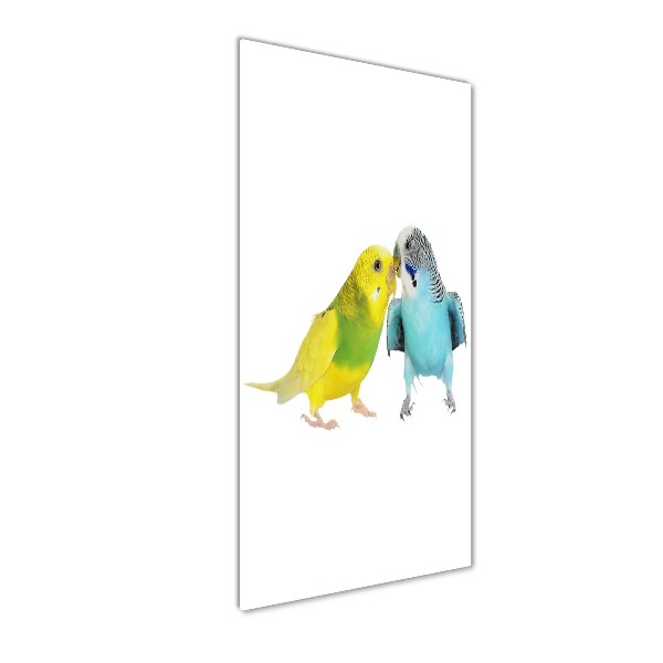 Fotografie imprimată pe sticlă budgies