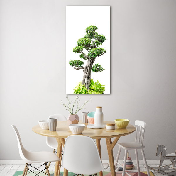 Fotografie imprimată pe sticlă copac bonsai