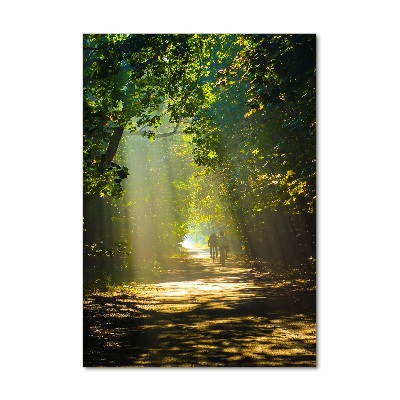 Tablou sticlă Calea în pădure