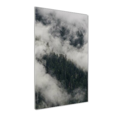Imagine de sticlă Cloud peste pădure