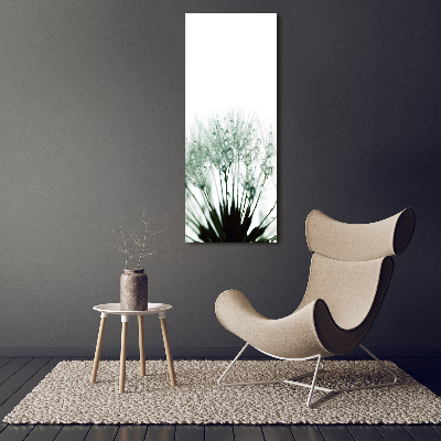 Imagine de sticlă semințe de papadie