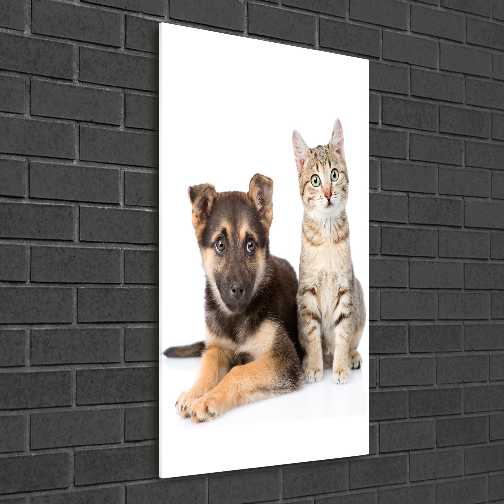Imagine de sticlă Câine și pisică