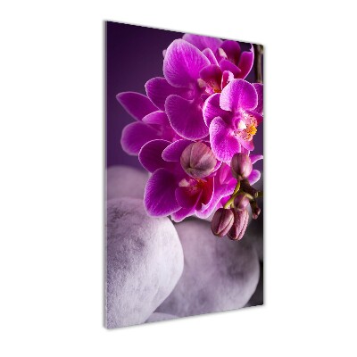 Tablou Printat Pe Sticlă orhidee roz