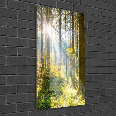 Tablou sticlă Soare în pădure