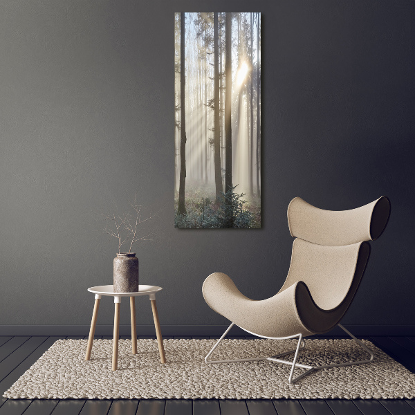 Tablou din Sticlă Ceață în pădure