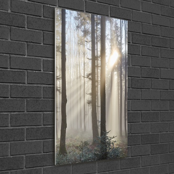 Tablou din Sticlă Ceață în pădure