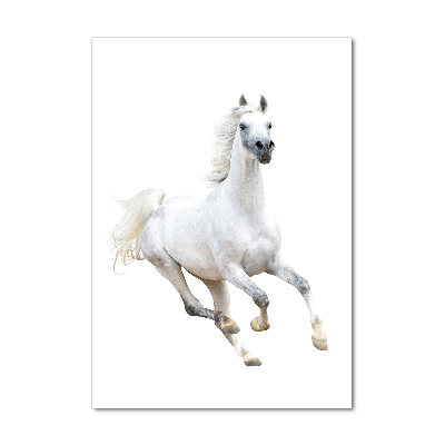 Fotografie imprimată pe sticlă cal alb în galop