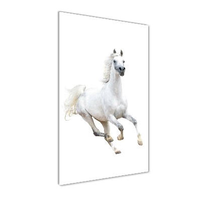 Fotografie imprimată pe sticlă cal alb în galop