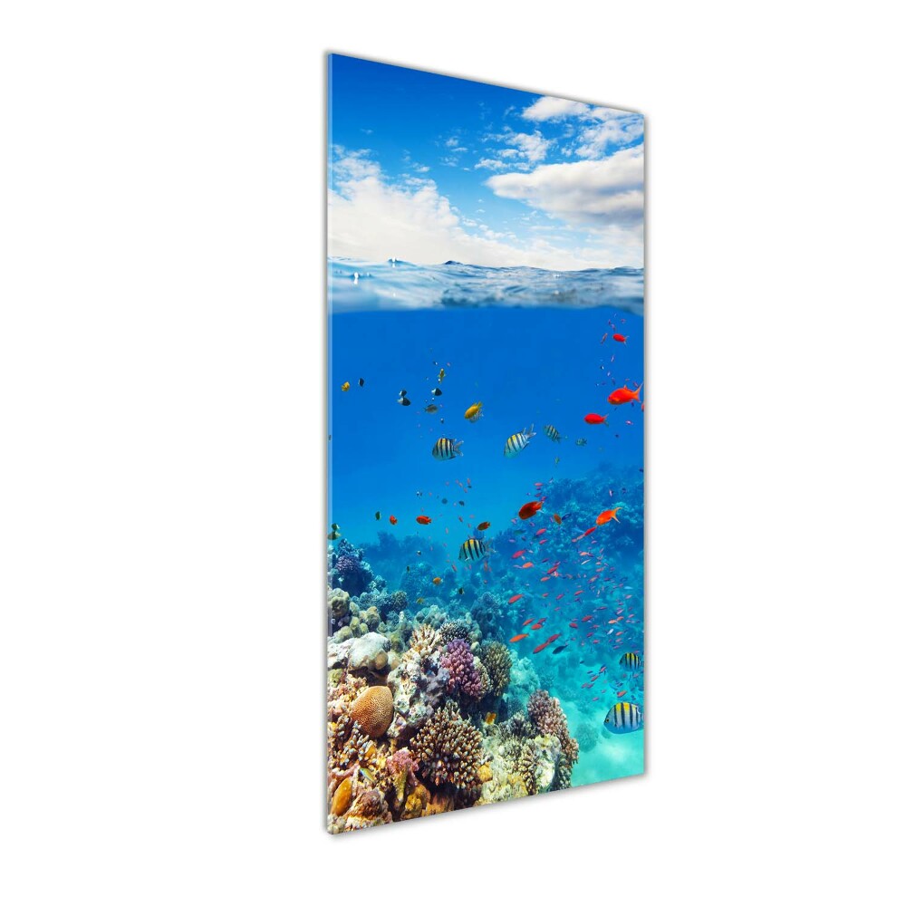 Imagine de sticlă recif de corali