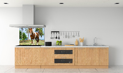 Panou sticlă decorativa bucătărie cal pinto