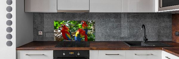 Panou sticlă bucătărie papagali Macaws