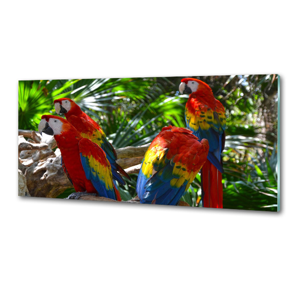 Panou sticlă bucătărie papagali Macaws