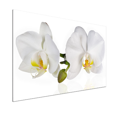 Panou sticla securizata bucatarie Orhidee