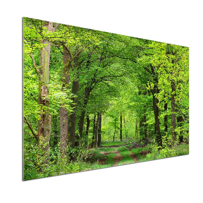 Sticlă pentru bucătărie pădure de primăvară
