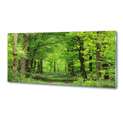 Sticlă pentru bucătărie pădure de primăvară