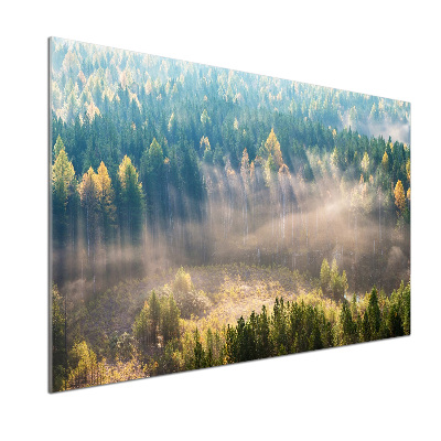 Sticlă pentru bucătărie Ceață în pădure