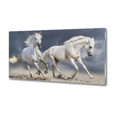 Panou sticla securizata bucatarie White Beach Horse