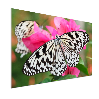 Panou sticla securizata bucatarie Fluture pe o floare
