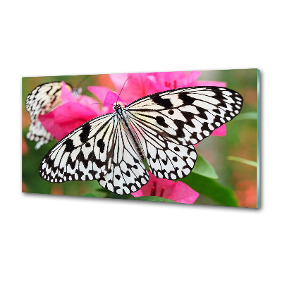 Panou sticla securizata bucatarie Fluture pe o floare