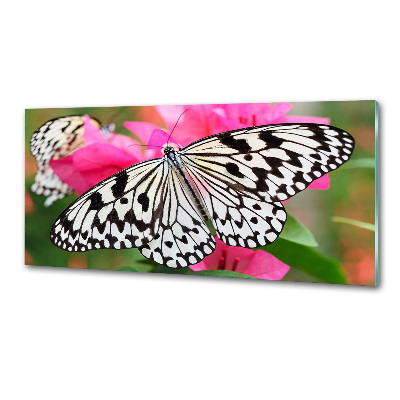 Panou sticla securizata bucatarie Fluture pe o floare