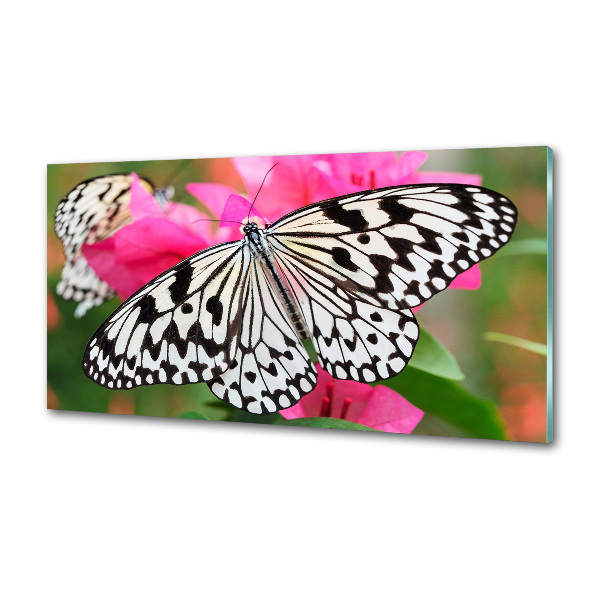 Panou sticla securizata bucatarie Fluture pe o floare