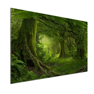Sticlă pentru bucătărie jungla tropicala