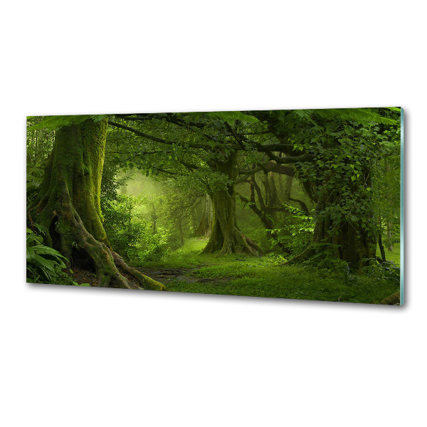 Sticlă pentru bucătărie jungla tropicala