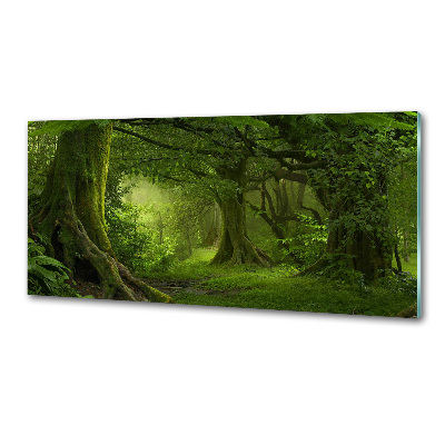 Sticlă pentru bucătărie jungla tropicala