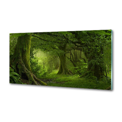 Sticlă pentru bucătărie jungla tropicala