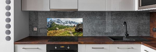Sticlă printata bucătărie Hale Tatry